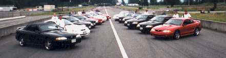 Cobra - day - V cars.jpg (9560 bytes)