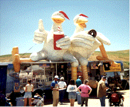 Promo Chicken Trailer.gif (26603 bytes)